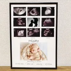 Item thumbnail for item 169db34c-a236-470d-8946-33f40002770a