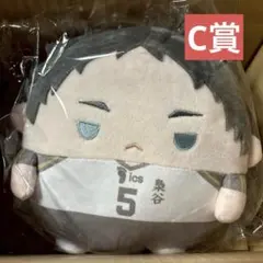 ハイキュー　赤葦　くじメイト　ぬいくじ　C賞　ふわコロりん