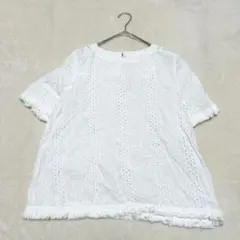 yt136 良品✨ゴールデンベア 総レース半袖カットソー L 刺繍 白 シアーのサムネイル