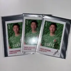 Item thumbnail for item b22a1787-003f-493f-870f-469b3da0c46c