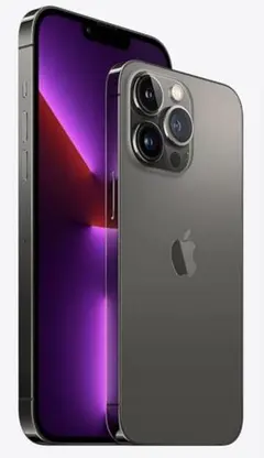 Apple iPhone 13 ProMAX 256GB