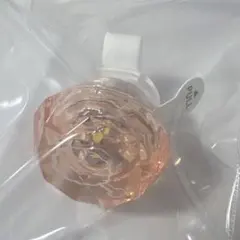 2026年最新】パラライ ロクタ リングライトの人気アイテム - メルカリ