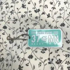 TWICE ミナ　ランダムプレートキーホルダー