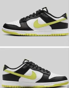【新品未使用】NIKE DUNK LOW RETRO 29㎝