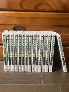 ファンタジスタ 復刻版 コミック 1-25巻　ステラ　全巻セット 全巻セット ファンタジスタ ステラ コミック 1-14巻セット | 草場道輝 本田