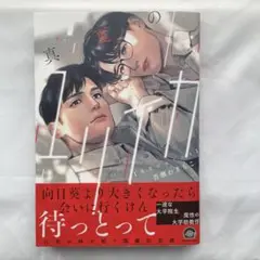 真夏のユリイカ　コミコミ特典ペーパー、リーフレット付