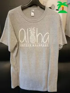 Tシャツ２枚セット　ハワイ 88TEES グレーとMALIBU SHIRTS白のサムネイル