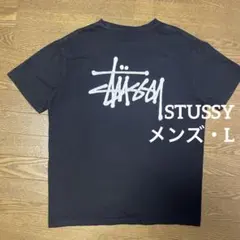 Stüssy BLOCK SPORT PIGMENT DYED TEE L - メルカリ