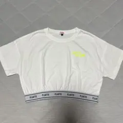 Tシャツ M/150 ホワイト　ピンクラテ