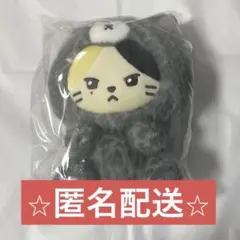 2026年最新】ZB1 リッキー ぬいぐるみの人気アイテム - メルカリ