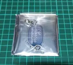 ミルサブ　志摩スペイン村　アサミ