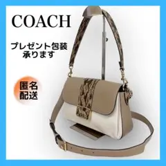 COACH ヘビ柄　ショルダーバッグ　2way 白　ベージュ　型押し　パイソン
