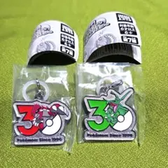 寶可夢 30週年 金屬吊飾吉祥物 固拉多 烈空龍 轉蛋 ③
