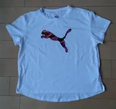 PUMA 　ホワイトのDRYTシャツ　アジア150サイズ
