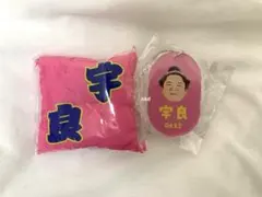 大相撲 ガチャ 座布団 キーホルダー ロッカーキー キーホルダー 宇良