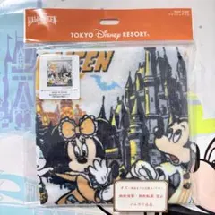 ディズニー⭐️ハロウィーン 2026 ウォッシュタオル ミニタオル