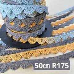 R175. インド買付｜刺繍リボン（50cmカット）