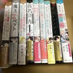 bl小説纏め売り 大判サイズ　9冊セット