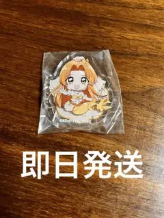 ぴちぴちピッチ 星羅 バースデーセット アクリルスタンド