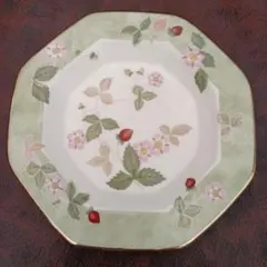 【専用】WEDG WOOD ワイルドストロベリー大皿5枚セット⭐︎新品 ウェッジウッド ワイルドストロベリー皿5枚セット約22.5cm