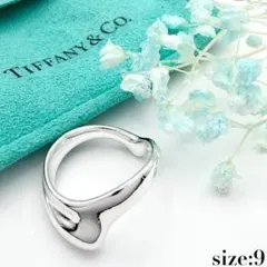 ティファニー TIFFANY&Co. カーブド バンド リング 9号 極美品 - メルカリ
