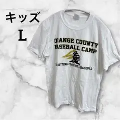 Orange County Baseball Camp Tシャツ Lサイズ