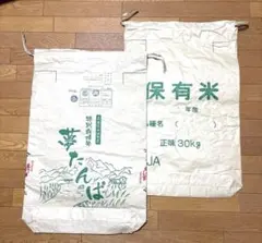 sayokarasu様 リクエスト 2点 まとめ商品