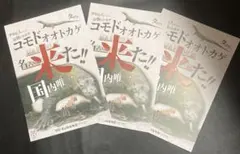 Item thumbnail for item 8dc01ceb-8fea-4c1e-93ef-d31ef9d2d3f1