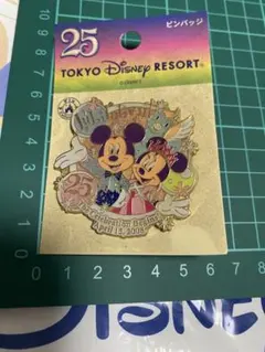東京ディズニーリゾート 25周年ピンバッジ