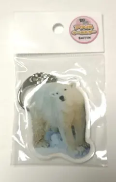 Item thumbnail for item bac8fe53-1ebf-41df-aa10-d91f238e774e