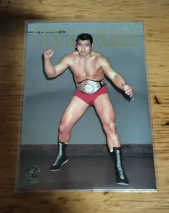 1983年 前田日明　坂口征二　直筆サイン色紙 ワンオーナー品 IWGP 2025年最新】坂口征二の人気アイテム - メルカリ