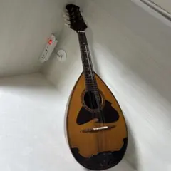 2025年最新】マンドリン suzuki 226の人気アイテム - メルカリ