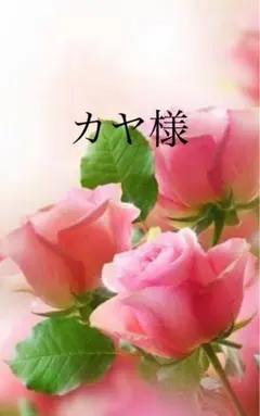 ＊カヤ様専用ぺージ＊