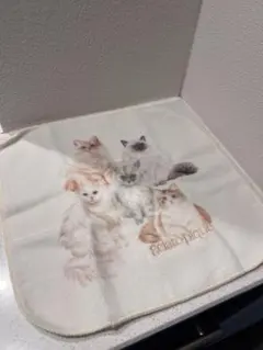 gelato pique 猫デザイン タオルハンカチ