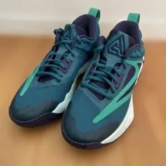NIKE GIANNIS 24.5㎝　ヤニス