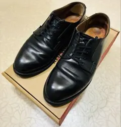 red wing 101 オックスフォード　ポストマン　Vibram 26.5のサムネイル