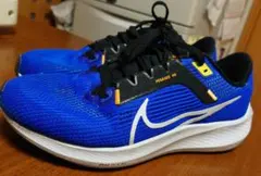 NIKE エアズームペガサス40 25.5cm