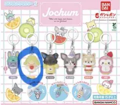 JOCHUM ガチャガチャ めじるしアクセサリー もこ