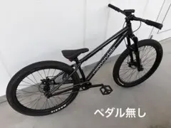24'' ECHO CZAR Street ストリート トライアル バイク - メルカリ