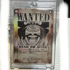 p*n様 ゴール・D・ロジャー　手配書SECパラレル