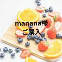 manana様ご購入　無印良品　ナイロンメッシュバッグインバッグ　Ａ５　グレー