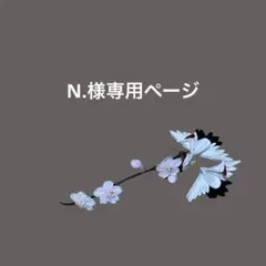 N.様専用ページ