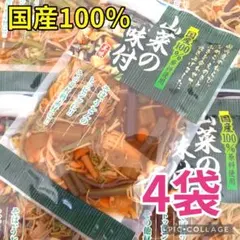 【国産100％ 山菜の味付け 4袋❣】のサムネイル
