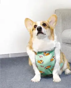 Item thumbnail for item 6b3da0e1-e94c-41f4-b90e-b369f24ab2ba