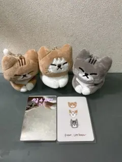 おまけ付き❣️リノ スンドゥンドリ キーリング メンプロ Stray Kids