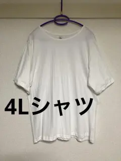 Tシャツ、白シャツ、4Lシャツ、トップス、ブラウス、カーディガン、シャツ、半袖