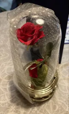 2026年最新】美女と野獣 オルゴールの人気アイテム - メルカリ