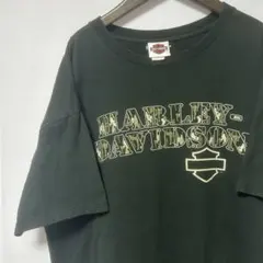 Item thumbnail for item 7b1d95c3-5294-47d4-83e5-fc2a6a9bd450