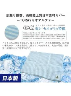 Item thumbnail for item 1e21b5ca-2ab0-40db-a082-f89f6aedadda