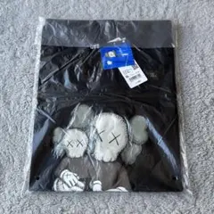 ☆新品未開封☆UNIQLO ×KAWS 2023 UTユニクロ×カウズ XL